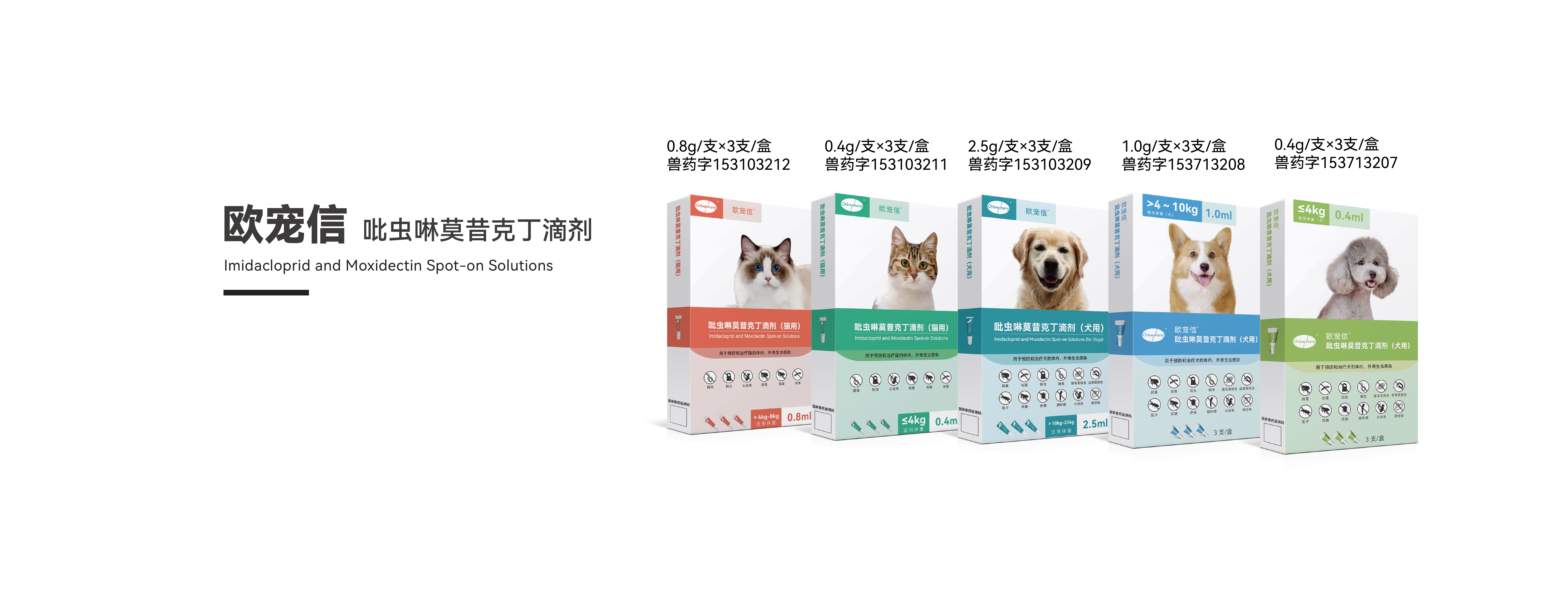 歐寵信